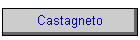 Castagneto